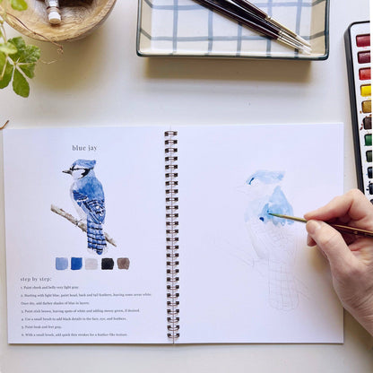 birds watercolor workbook