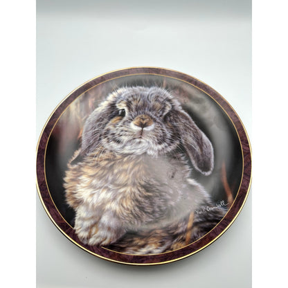 VTG The Bradford Exchange Bunny Tails "Im All Ears" Collectors Plate-#18401A