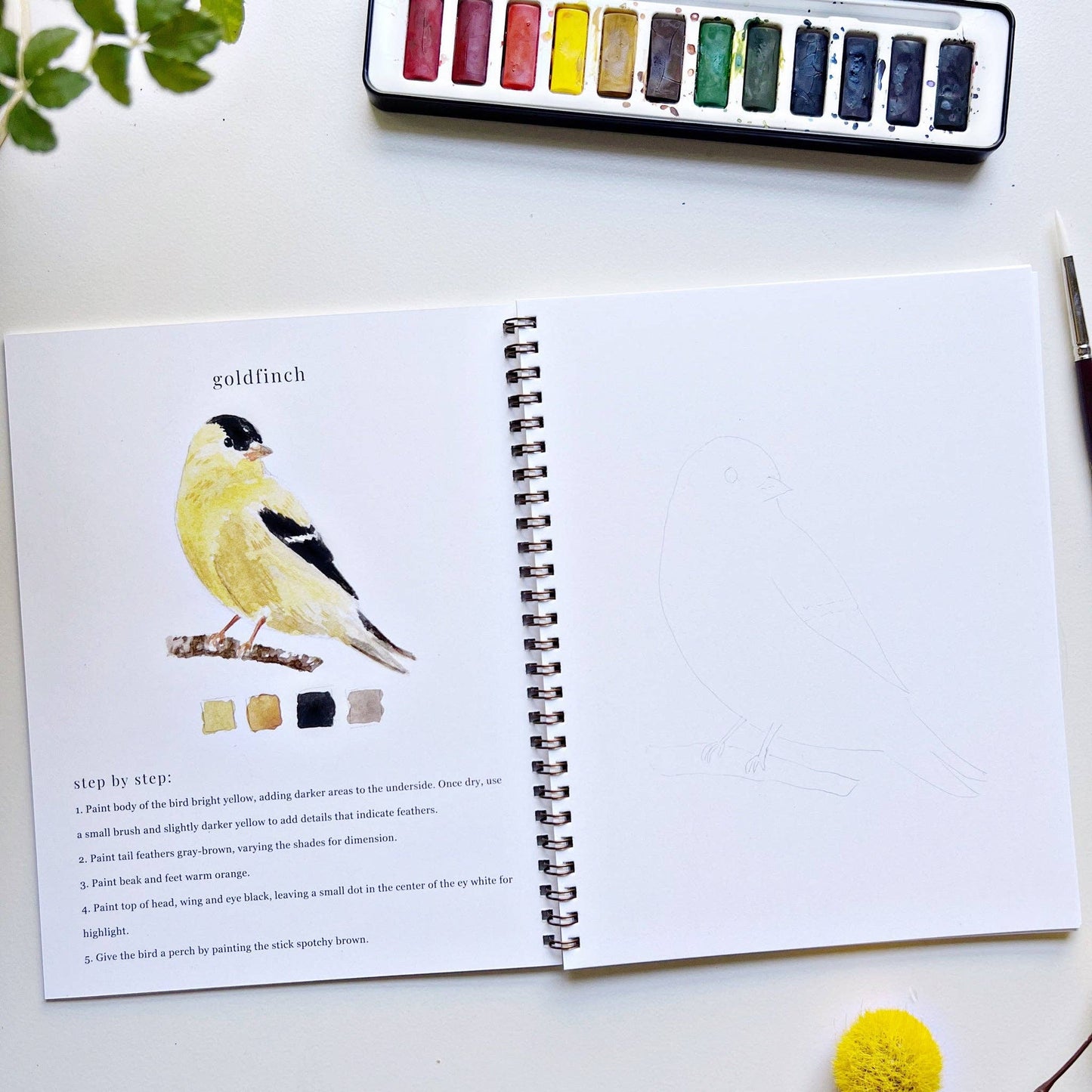 birds watercolor workbook