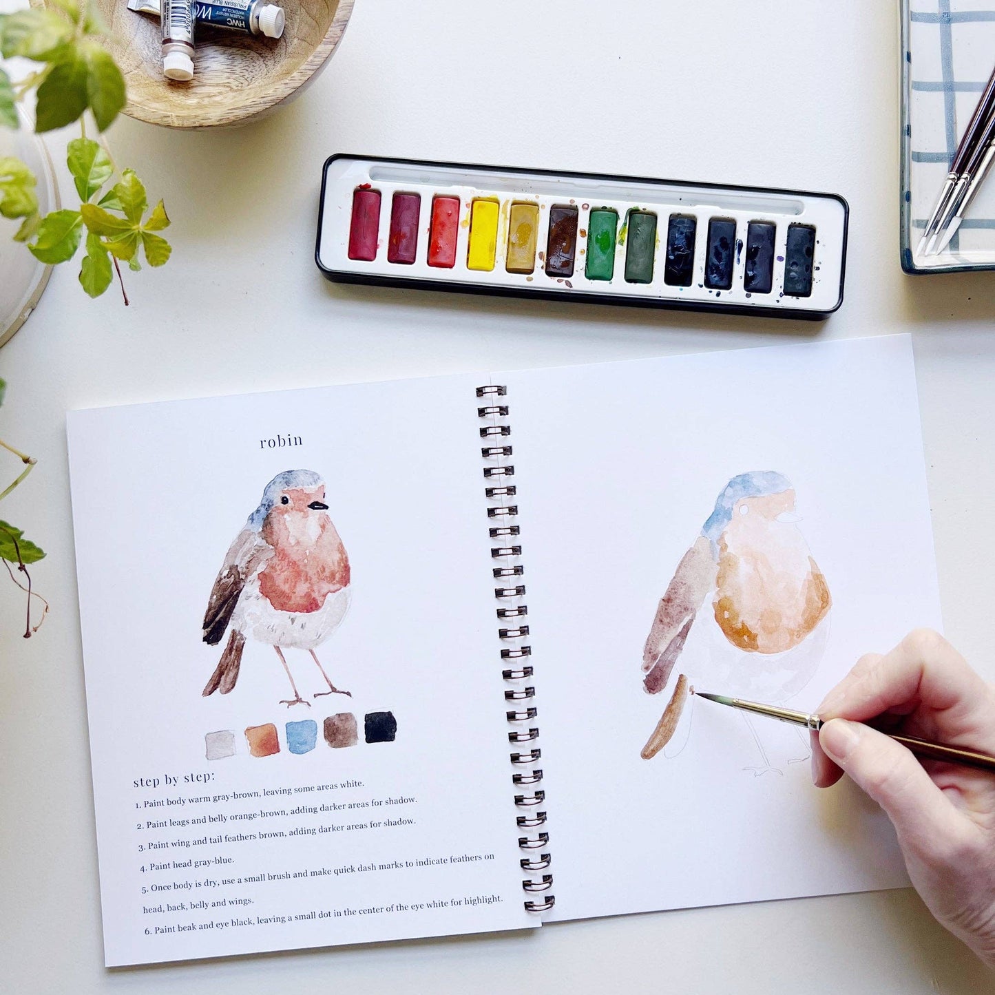 birds watercolor workbook